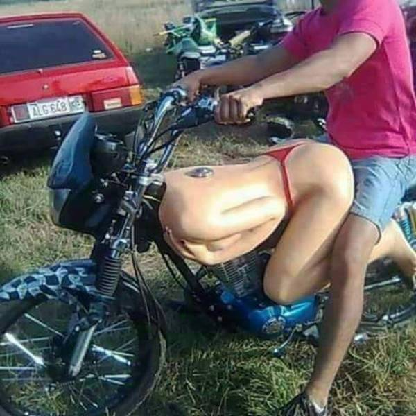 Daily Picdump