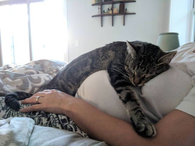 Daily Picdump