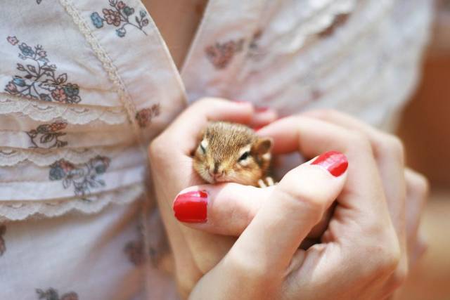 Daily Picdump