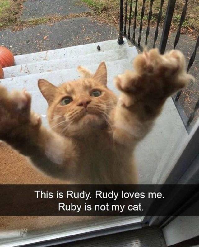 Daily Picdump