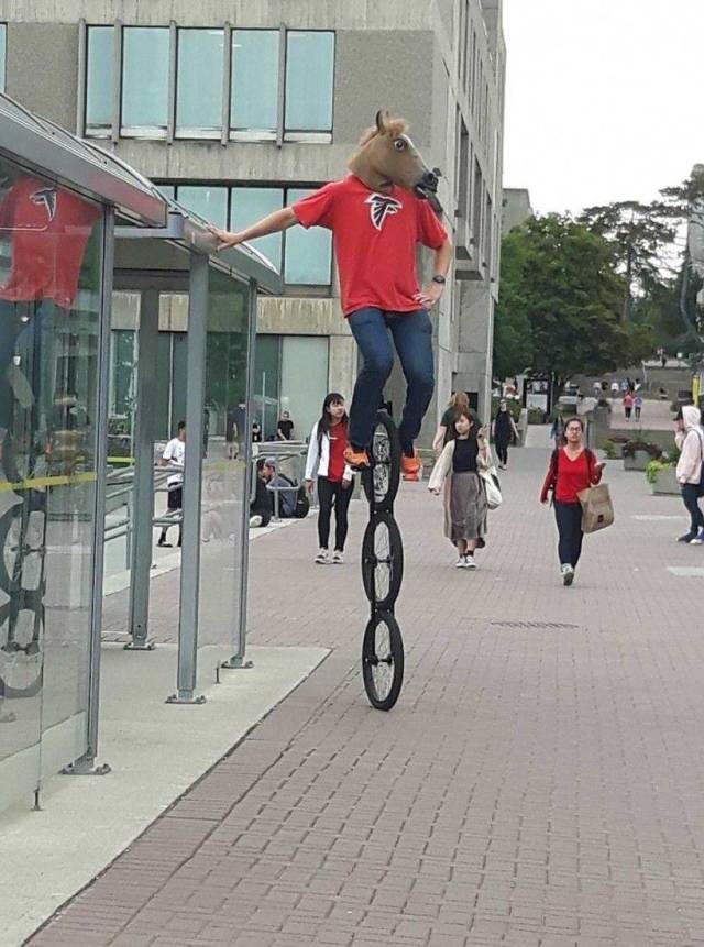 Daily Picdump