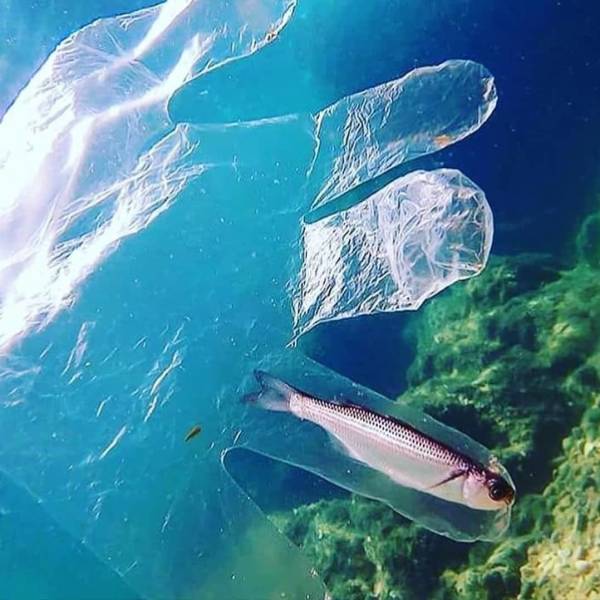 Humanity Should Really Stop Polluting Our Planet