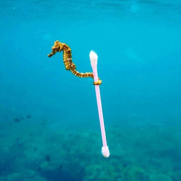 Humanity Should Really Stop Polluting Our Planet