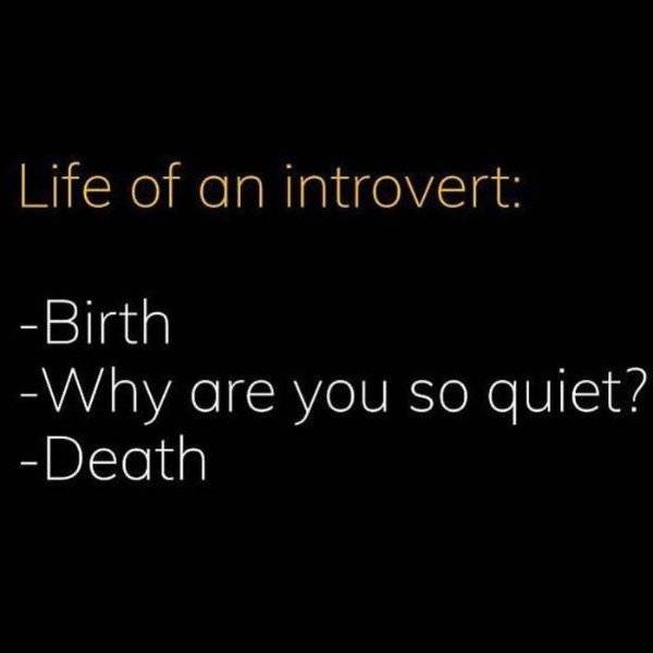 Introvert Memes That Are Only For Insiders