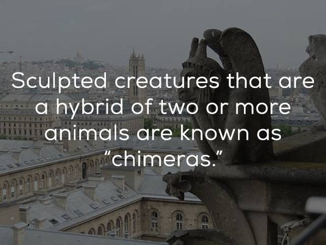 Immobile Facts About Stone Monsters Perched On Old Buildings