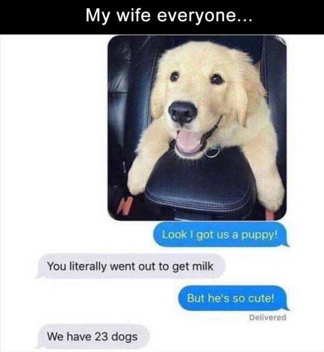 Funny Picdump
