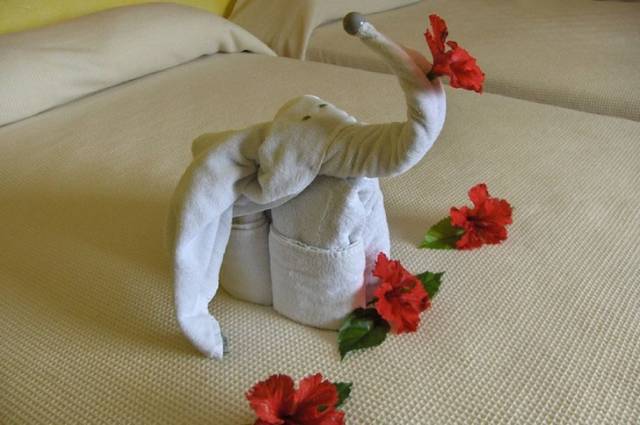 Now This Is Some Exemplary Service