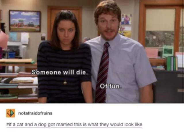 “Parks And Recreation” Memes For Those Who Understand