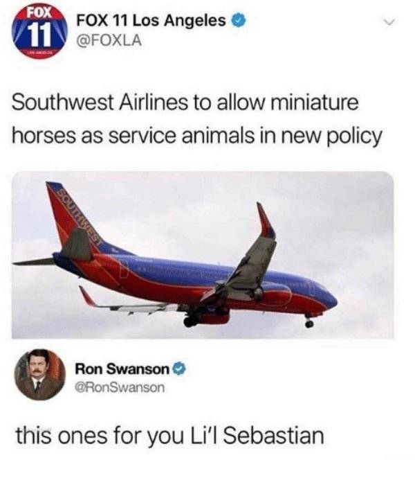 “Parks And Recreation” Memes For Those Who Understand