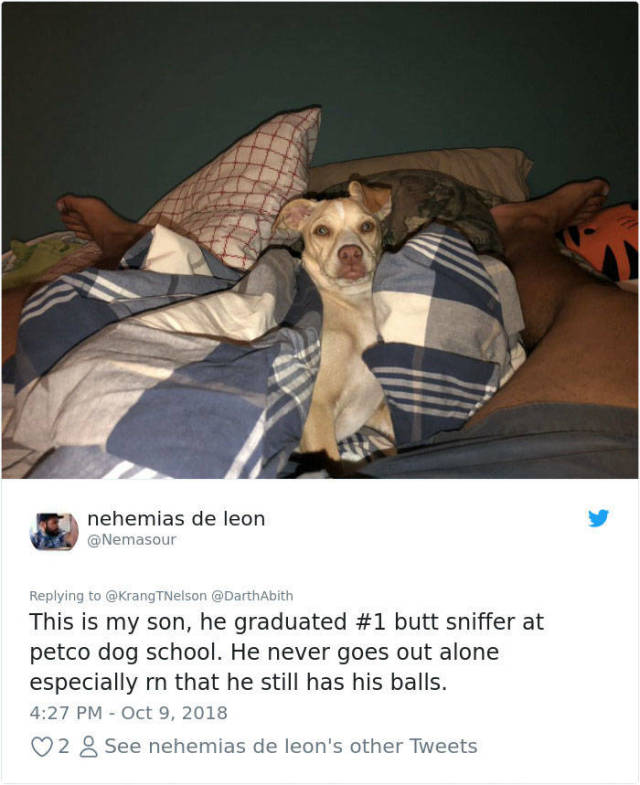 Moms, Stay Away From Your Sons’ Private Life! Moms, Stay Away From Your Sons’ Private Life!