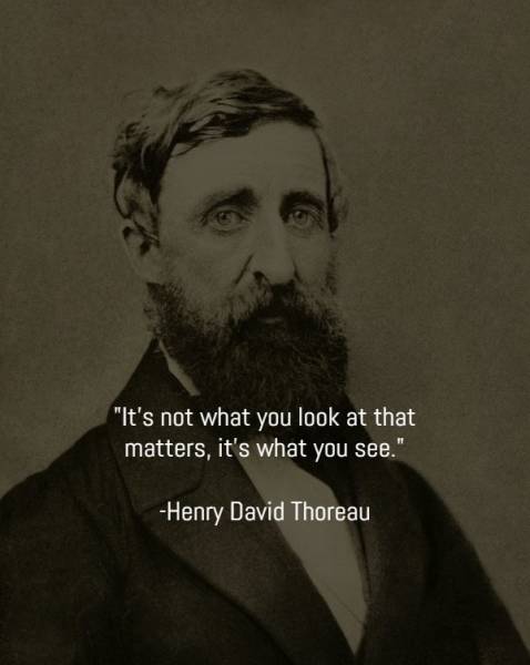 Great Minds, Great Quotes (25 pics) - Izismile.com