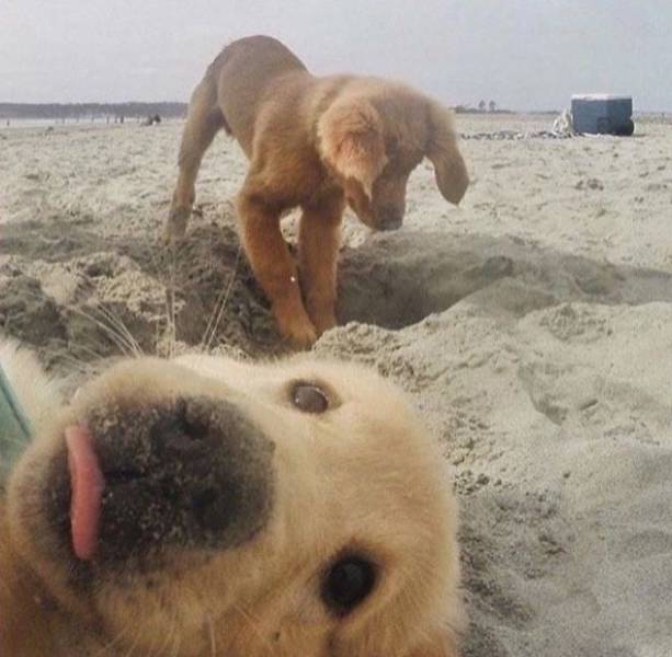 The Cutest Puppy Contest Winners!