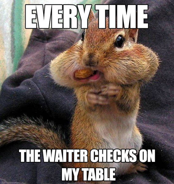 You Know You Like Both Food And Memes