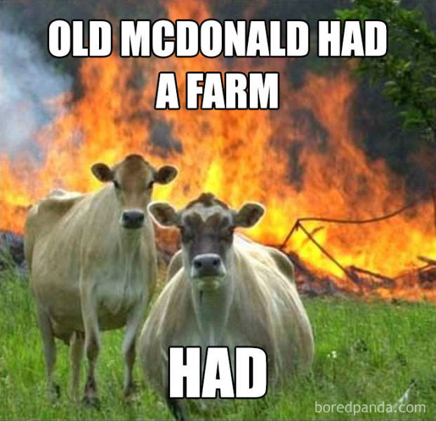 Organic Grass-Fed Vegan Memes