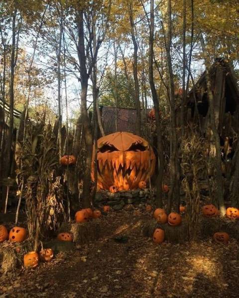 Halloween Decorations That Are Actually Very Good