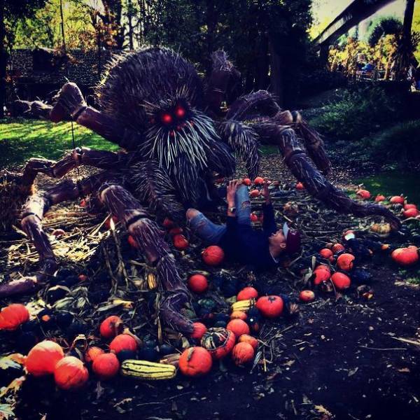 Halloween Decorations That Are Actually Very Good