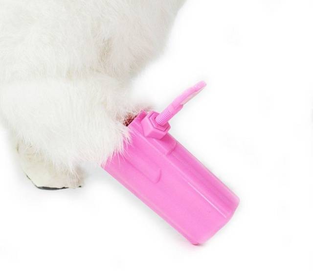 Is This A Torture Device For Cats?