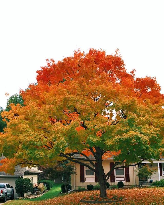 https://img.izismile.com/img/img11/20181026/640/daily_picdump_2966_640_high_41.jpg