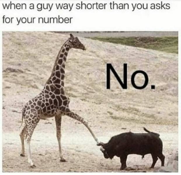 Short People Have Nothing But Problems