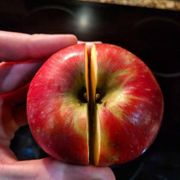 An Orgasm For Any Perfectionist Out There