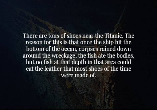 Creepy Facts Are The Facts You Need Most For Halloween