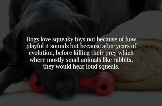 Creepy Facts Are The Facts You Need Most For Halloween