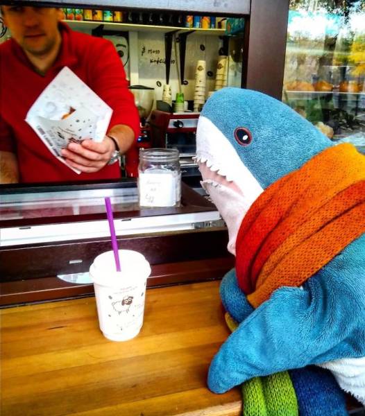 IKEA’s New Plush Shark Is Quickly Becoming An Internet Superstar