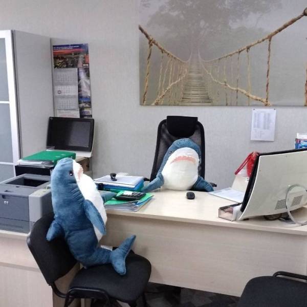 IKEA’s New Plush Shark Is Quickly Becoming An Internet Superstar