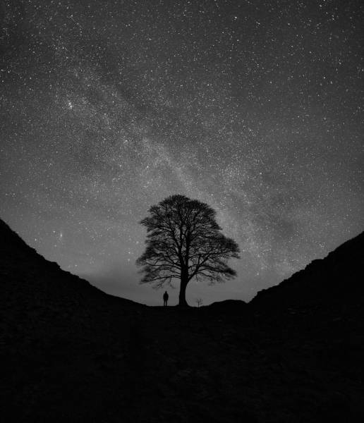 Insight Astronomy Photographer Of The Year Competition Shows Us The Most Beautiful Photos Of Space