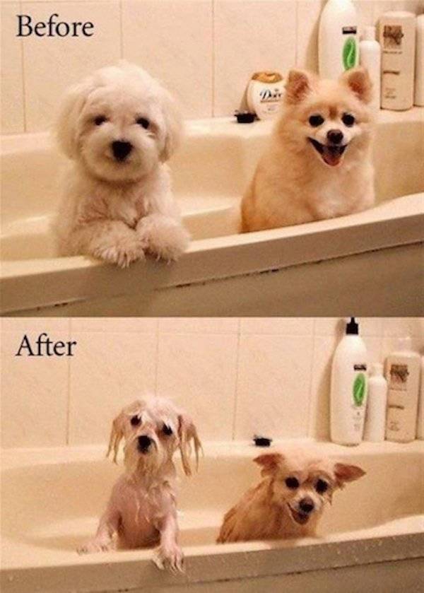 Everything Before And After