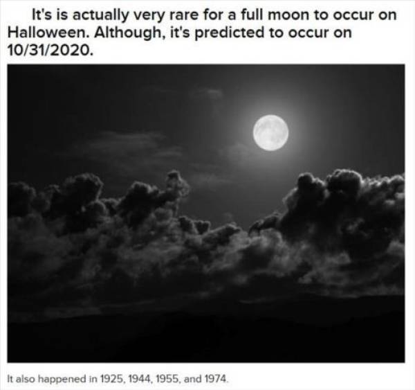 Halloween Facts Are No Less Spooky After It Is Already Over