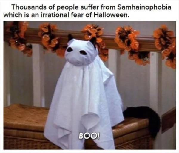 Halloween Facts Are No Less Spooky After It Is Already Over