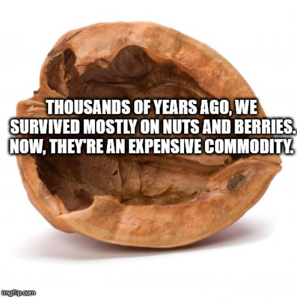 Shower Thoughts Are Too Crazy For The Real World