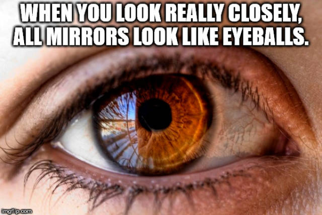 Shower Thoughts Are Too Crazy For The Real World