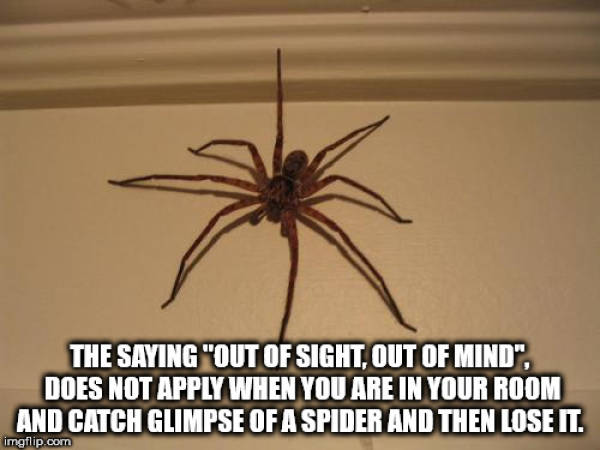 Shower Thoughts Are Too Crazy For The Real World