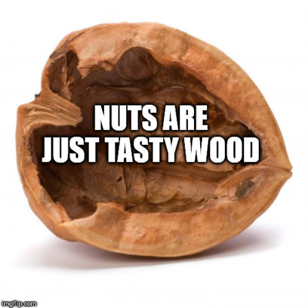 Shower Thoughts Are Too Crazy For The Real World