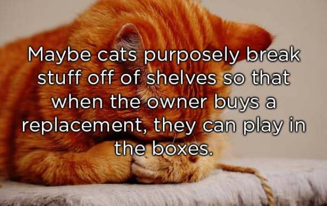 Shower Thoughts Are Too Crazy For The Real World