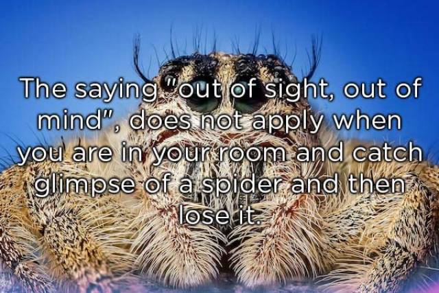 Shower Thoughts Are Too Crazy For The Real World