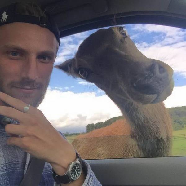 Funny Animals Is What Each One Of Us Needs