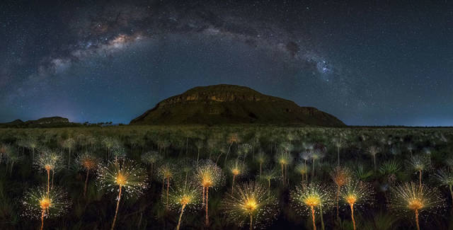 The Winners Of 2018 Siena International Photo Awards Have More Than Deserved Their Prize