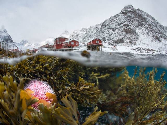 The Winners Of 2018 Siena International Photo Awards Have More Than Deserved Their Prize