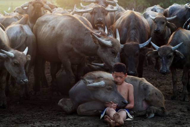 The Winners Of 2018 Siena International Photo Awards Have More Than Deserved Their Prize