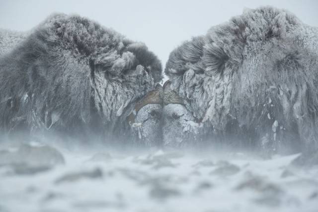 The Winners Of 2018 Siena International Photo Awards Have More Than Deserved Their Prize