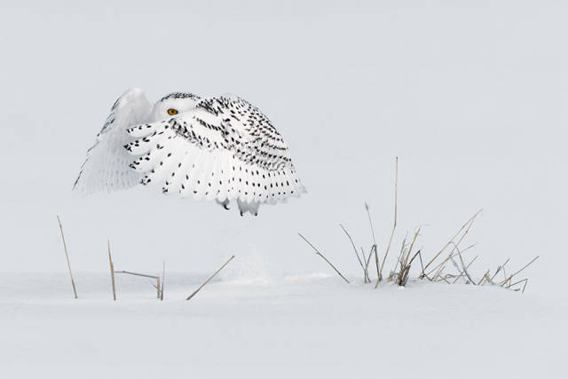 The Winners Of 2018 Siena International Photo Awards Have More Than Deserved Their Prize