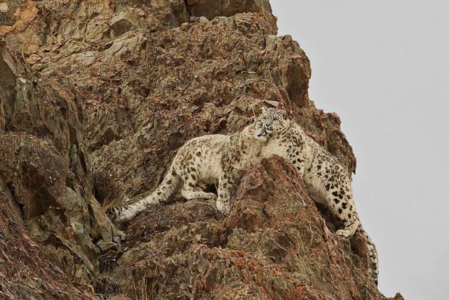 The Winners Of 2018 Siena International Photo Awards Have More Than Deserved Their Prize
