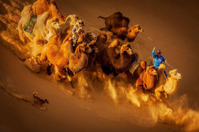 The Winners Of 2018 Siena International Photo Awards Have More Than Deserved Their Prize
