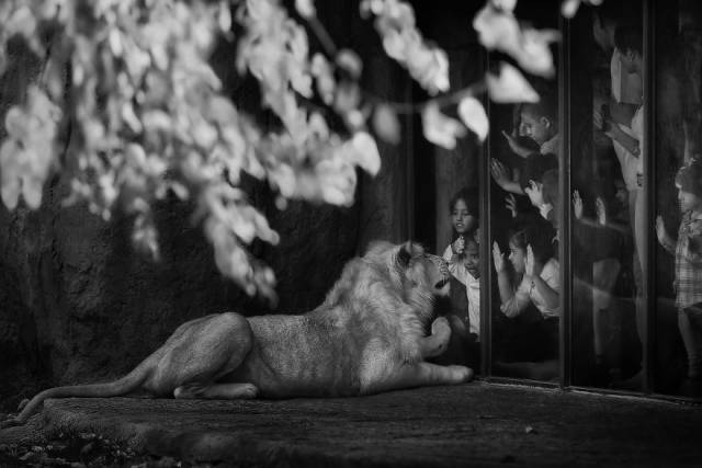 The Winners Of 2018 Siena International Photo Awards Have More Than Deserved Their Prize