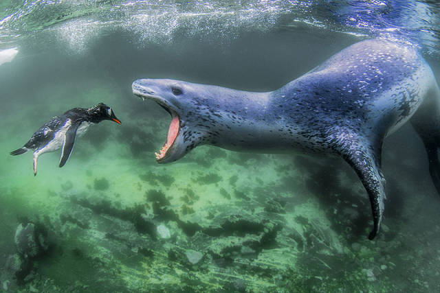 The Winners Of 2018 Siena International Photo Awards Have More Than Deserved Their Prize