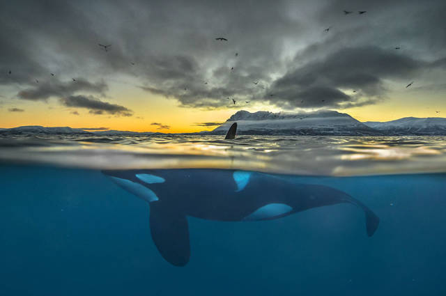 The Winners Of 2018 Siena International Photo Awards Have More Than Deserved Their Prize