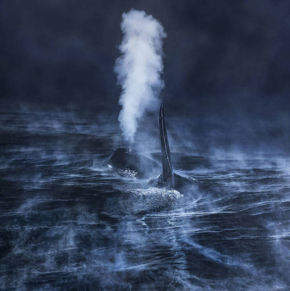The Winners Of 2018 Siena International Photo Awards Have More Than Deserved Their Prize